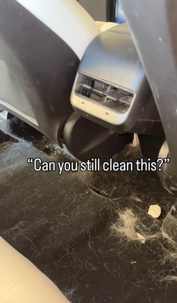 Dirty Interior Before Cleaning